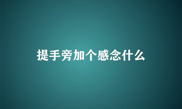 提手旁加个感念什么