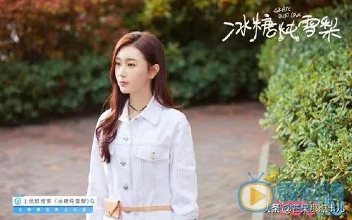 电视剧冰糖炖雪梨是小说改编的吗(张宏伟严义明)?
