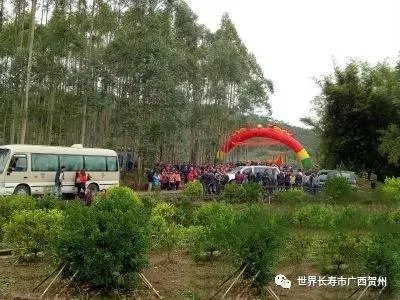 贺州最近的“桂台客家宗亲经济文化论坛”是怎么回事？