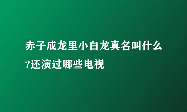 赤子成龙里小白龙真名叫什么?还演过哪些电视