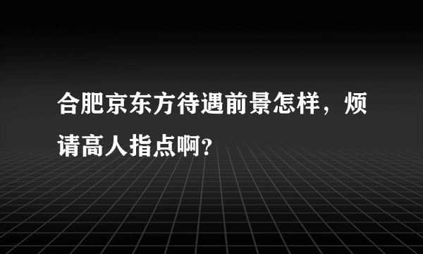 合肥京东方待遇前景怎样，烦请高人指点啊？