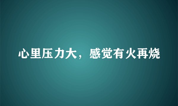 心里压力大，感觉有火再烧