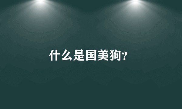 什么是国美狗？