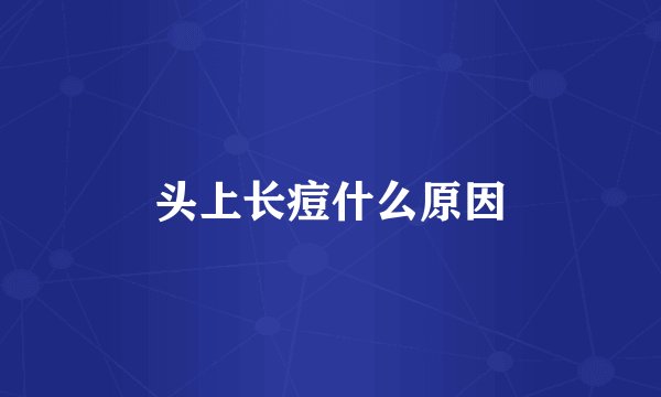 头上长痘什么原因