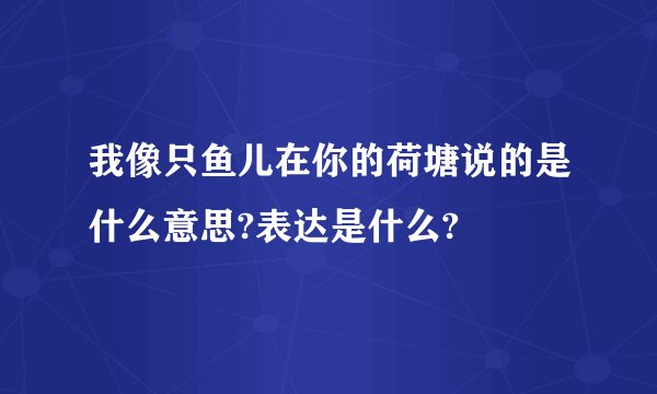 我像只鱼儿在你的荷塘说的是什么意思?表达是什么?