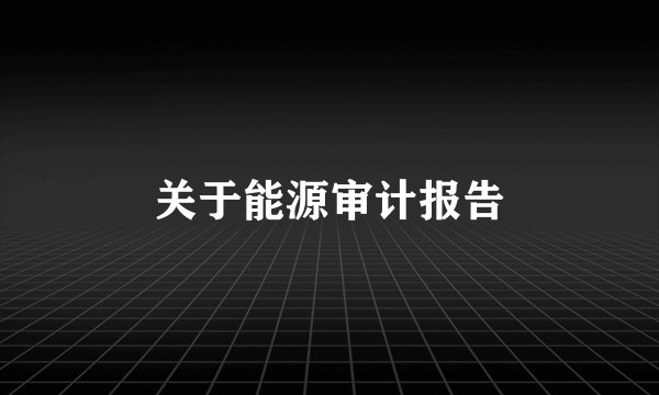 关于能源审计报告