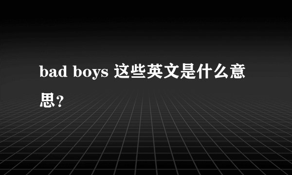 bad boys 这些英文是什么意思？