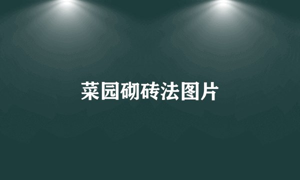 菜园砌砖法图片