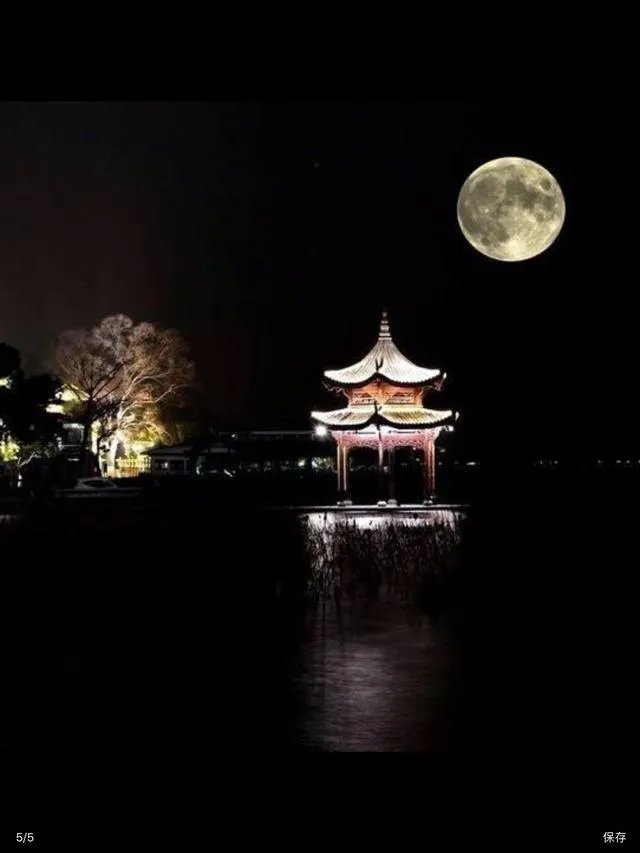 格律诗是世界诗歌史上的怪胎另类么?