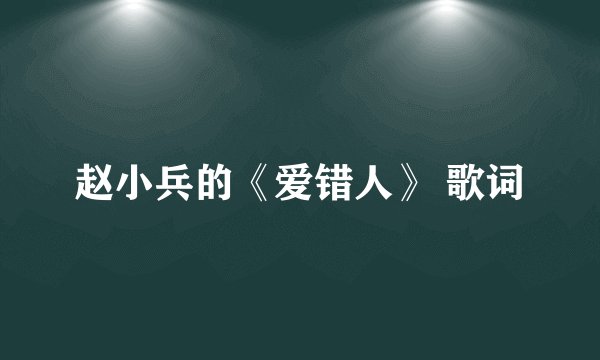 赵小兵的《爱错人》 歌词