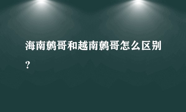 海南鹩哥和越南鹩哥怎么区别？