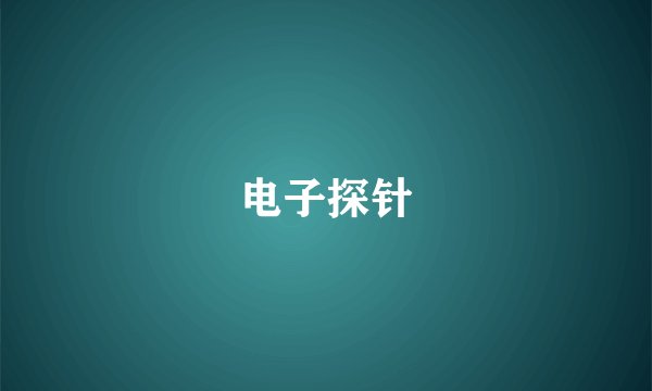 电子探针