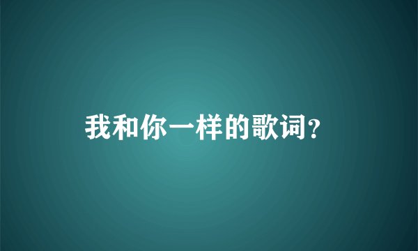 我和你一样的歌词？