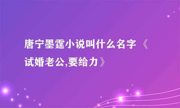 唐宁墨霆小说叫什么名字 《试婚老公,要给力》