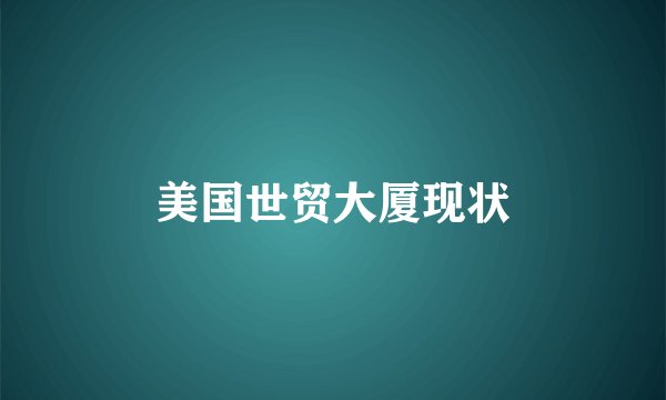 美国世贸大厦现状