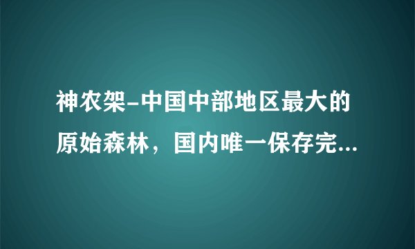 神农架-中国中部地区最大的原始森林，国内唯一保存完好的绿洲