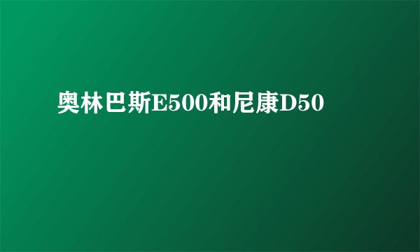 奥林巴斯E500和尼康D50