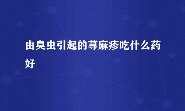 由臭虫引起的荨麻疹吃什么药好