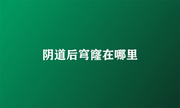 阴道后穹窿在哪里