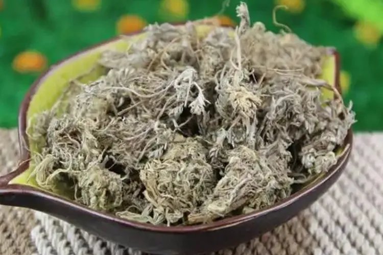 水蒿的功效与作用图片
