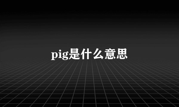 pig是什么意思