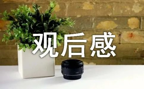 《岩松看美国》观后感