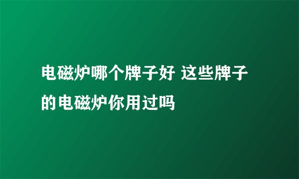 电磁炉哪个牌子好 这些牌子的电磁炉你用过吗