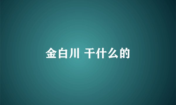 金白川 干什么的