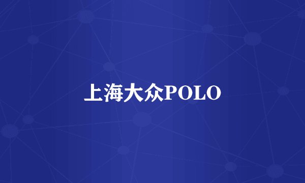 上海大众POLO