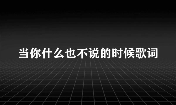 当你什么也不说的时候歌词