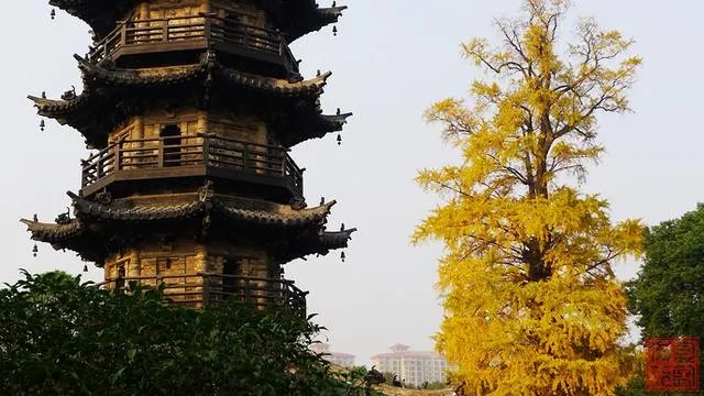 谁能介绍一下常熟梅李的聚沙塔?