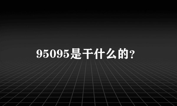 95095是干什么的？