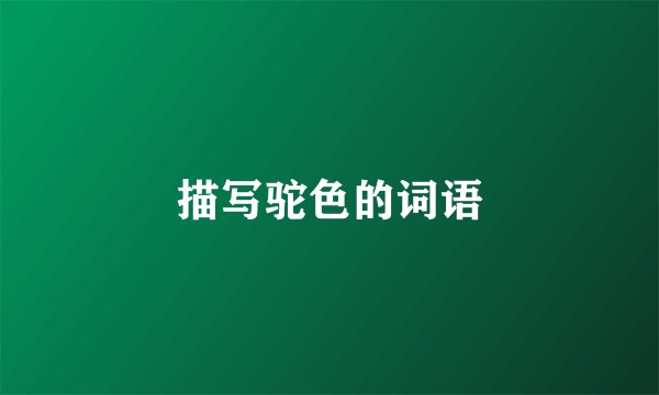 描写驼色的词语