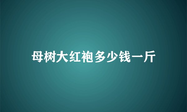 母树大红袍多少钱一斤