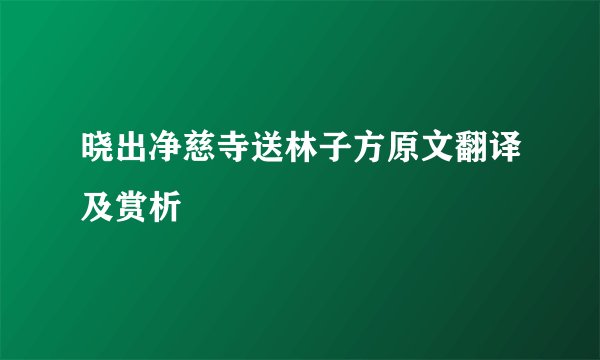 晓出净慈寺送林子方原文翻译及赏析