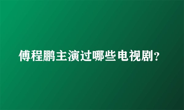 傅程鹏主演过哪些电视剧？