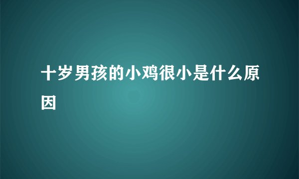 十岁男孩的小鸡很小是什么原因