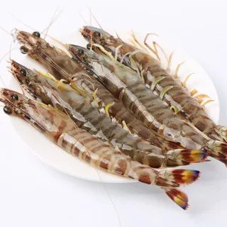 对虾价格多少钱一斤