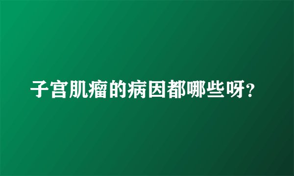 子宫肌瘤的病因都哪些呀？
