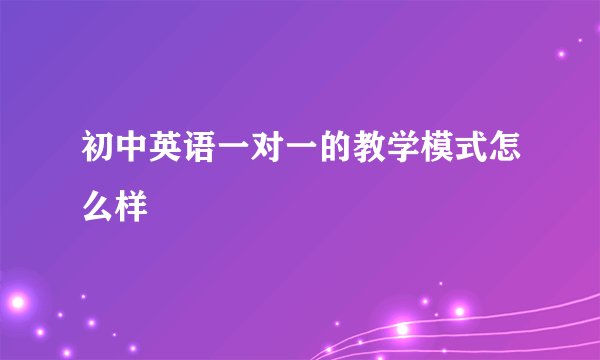 初中英语一对一的教学模式怎么样