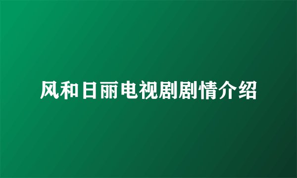 风和日丽电视剧剧情介绍