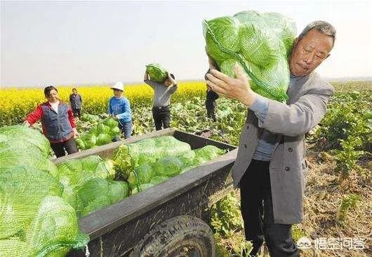 “农超对接”是什么意思？