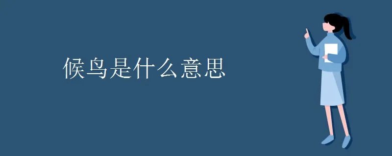 候鸟是什么意思