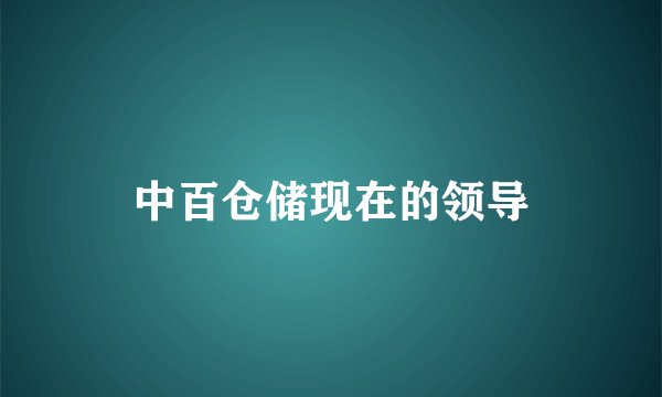 中百仓储现在的领导