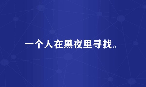 一个人在黑夜里寻找。