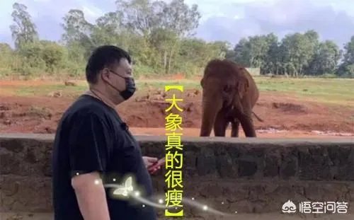 孙越是谁的徒弟？