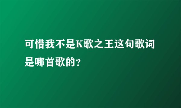 可惜我不是K歌之王这句歌词是哪首歌的？