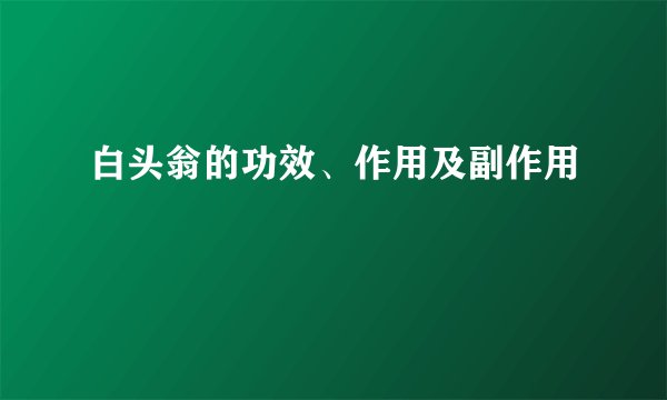 白头翁的功效、作用及副作用