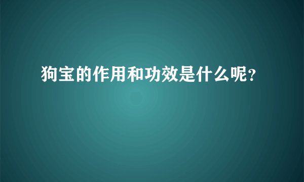 狗宝的作用和功效是什么呢？