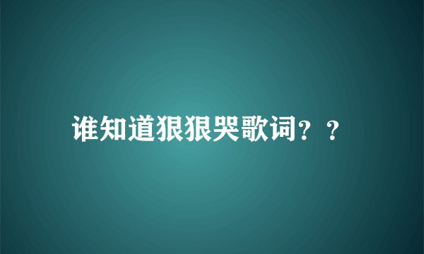 谁知道狠狠哭歌词？？